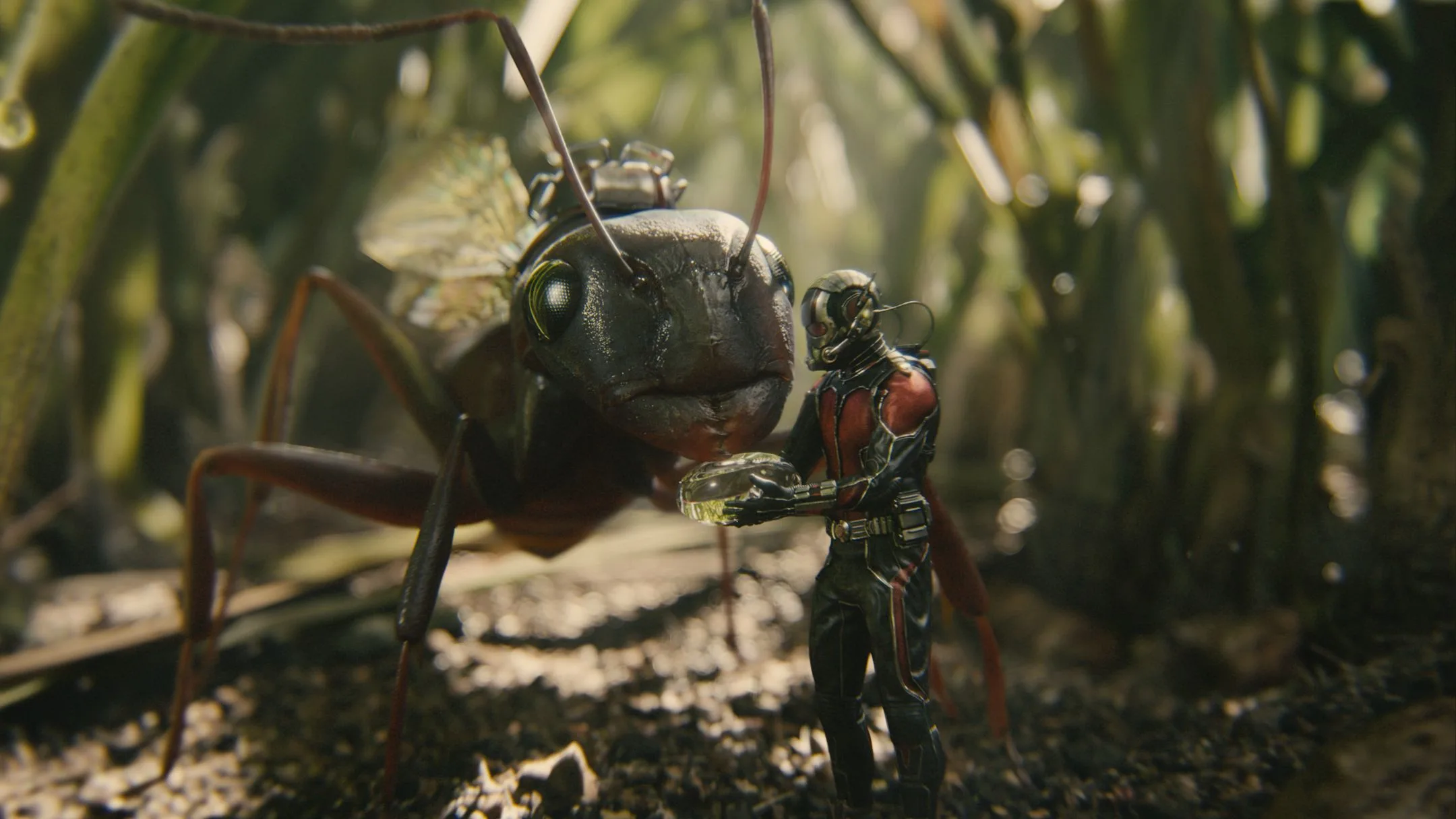 Ant-Man