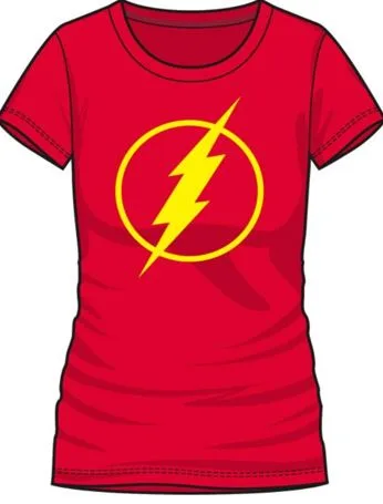 flash day