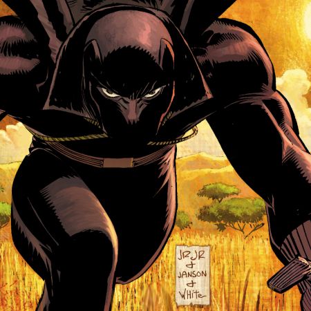 What will the "Black Panther" Movie Look Like?