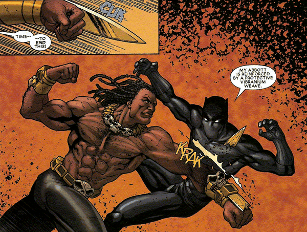 Black Panther Screenwriter Reveals Movie Details!
