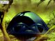 Guggenheim Talks JSA and Legion of Doom on Legends of Tomorrow